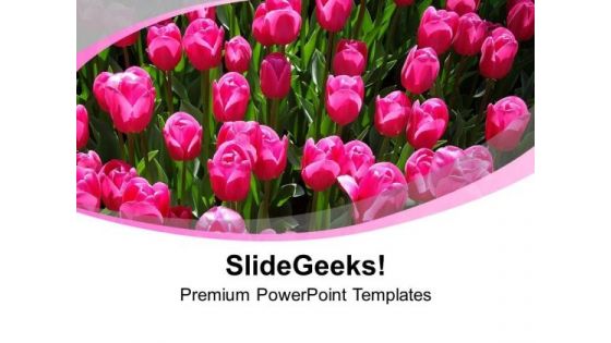 View Of Vibrant Rose Flowers PowerPoint Templates Ppt Backgrounds For Slides 1212