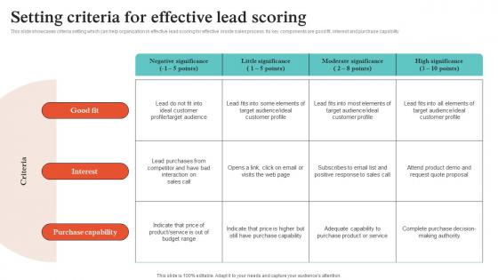 Virtual Sales Strategies Setting Criteria For Effective Lead Scoring Strategy SS V