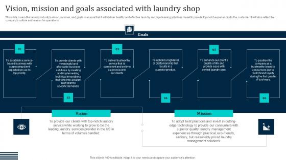 Vision Mission And Goals Associated Laundromat Business Plan Go To Market Designs Pdf