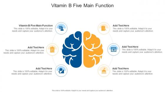 Vitamin B Five Main Function In Powerpoint And Google Slides Cpb