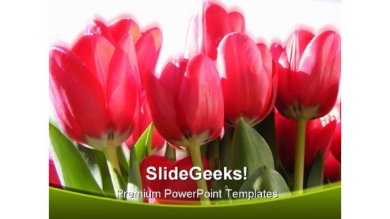 Vivid Tulips Nature PowerPoint Backgrounds And Templates 1210