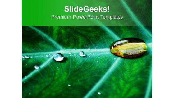 Water Drop On Leaf PowerPoint Templates Ppt Backgrounds For Slides 0513 Water Drop On Leaf PowerPoint Templates Ppt Backgrounds For Slides 0513