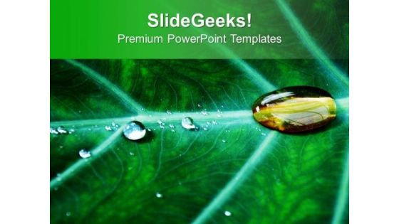 Water Drop On Leaf PowerPoint Templates Ppt Backgrounds For Slides 0513