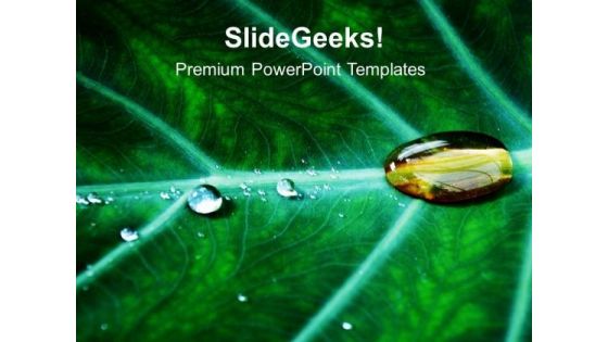 Water Drop On Leaf PowerPoint Templates Ppt Backgrounds For Slides 0613