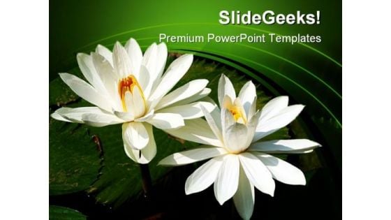 Water Lilies Nature PowerPoint Templates And PowerPoint Backgrounds 0311