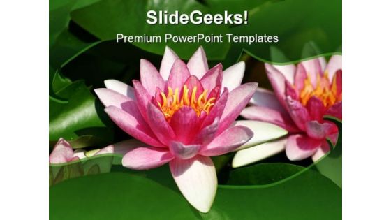 Water Lily Beauty PowerPoint Template 1110