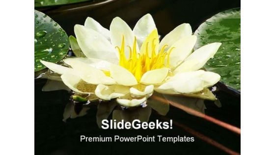 Water Lily Nature PowerPoint Templates And PowerPoint Backgrounds 0311