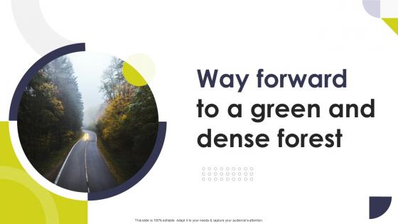 Way Forward To A Green And Dense Forest Way Forward Ppt Template Way Forward To A Green And Dense Forest Way Forward Ppt Template