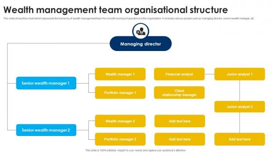 Wealth Management Team Organisational Structure Strategic Wealth Management And Financial Fin SS V Wealth Management Team Organisational Structure Strategic Wealth Management And Financial Fin SS V