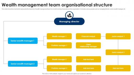 Wealth Management Team Organisational Structure Strategic Wealth Management And Financial Fin SS V