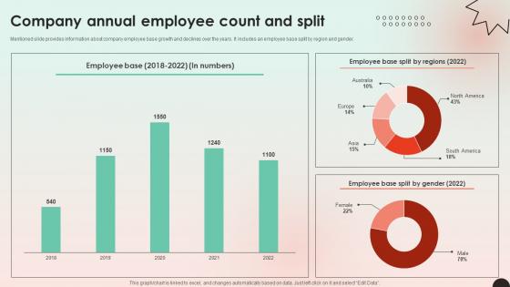 Web Consulting Business Company Annual Employee Count And Split