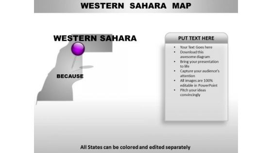 Western Sahara Country PowerPoint Maps