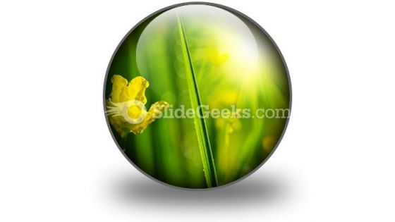 Wet Meadow Nature PowerPoint Icon C