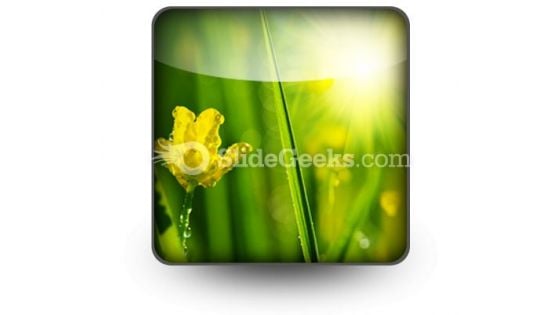 Wet Meadow Nature PowerPoint Icon S