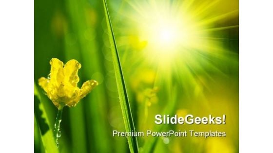 Wet Meadow Nature PowerPoint Templates And PowerPoint Backgrounds 0411