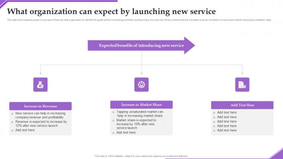 What Organization Can Expect Adverting New Sarvice Via Social Network Platform Designs Pdf