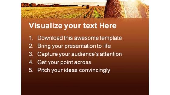 Wheat Field Agriculture PowerPoint Templates And PowerPoint Backgrounds 0511