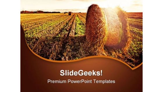 Wheat Field Agriculture PowerPoint Templates And PowerPoint Backgrounds 0511