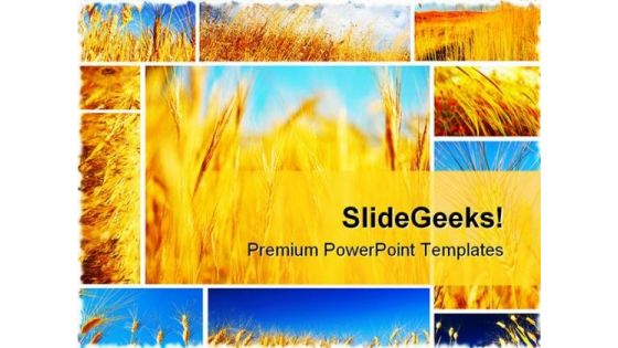 Wheat Field Collage Food PowerPoint Templates And PowerPoint Backgrounds 0611