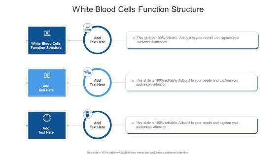 White Blood Cells Function Structure In Powerpoint And Google Slides Cpb