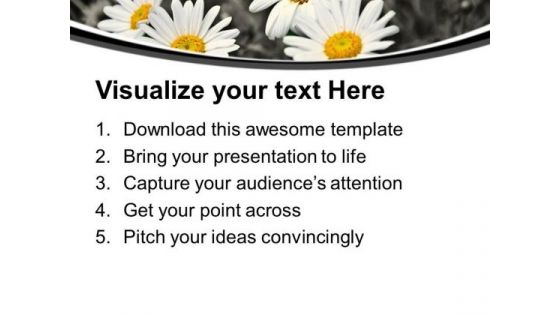 White Daisy Flower Background PowerPoint Templates Ppt Backgrounds For Slides 0613