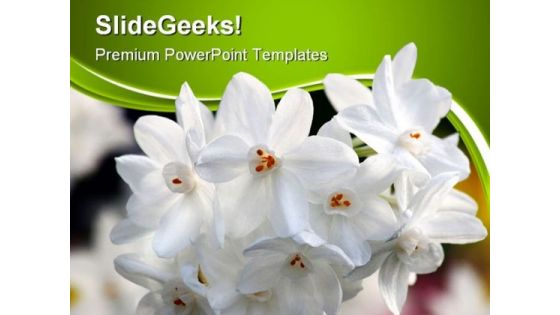 White Flowers Nature PowerPoint Templates And PowerPoint Backgrounds 0411