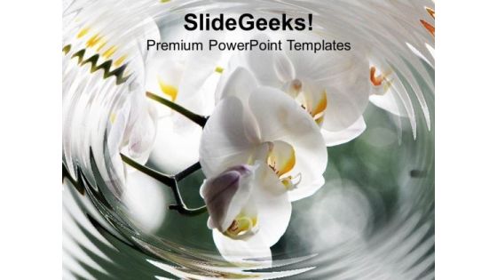 White Orchids Beautiful Decoration PowerPoint Templates Ppt Backgrounds For Slides 0213