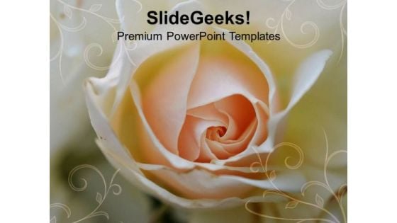 White Rose Background PowerPoint Templates Ppt Backgrounds For Slides 0613