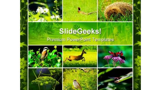 Wild Nature Animals PowerPoint Themes And PowerPoint Slides 0511