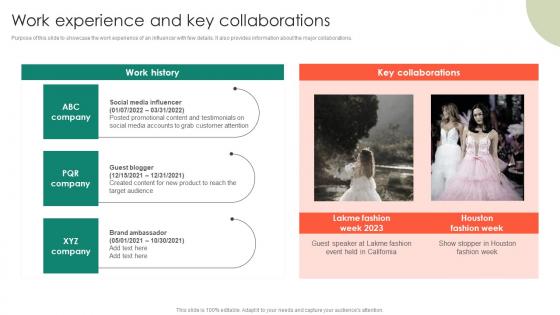 Work Experience And Key Collaborations Entrepreneurs Roadmap To Effective Graphics Pdf