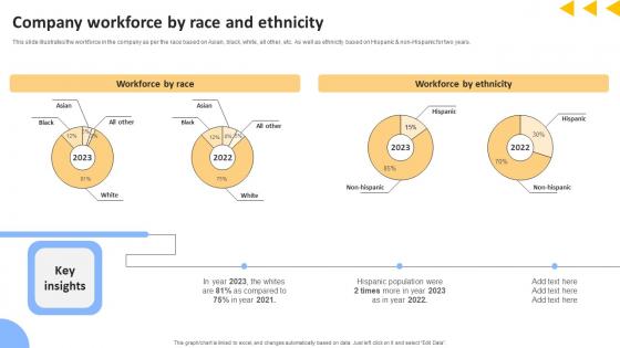 Workforce Productivity Improvement Company Workforce By Race And Ethnicity Slides Pdf