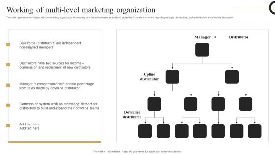 Working Multi Level Marketing Strategic Plan Develop Multi Level Marketing Designs Pdf