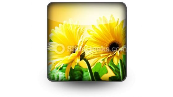 Yellow Daises PowerPoint Icon S