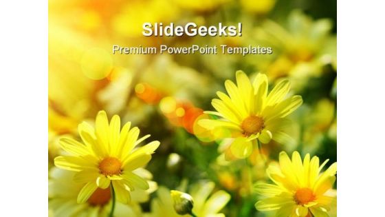 Yellow Daisies Beauty PowerPoint Templates And PowerPoint Backgrounds 0311