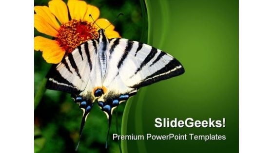 Yellow Flower And Butterfly Nature PowerPoint Templates And PowerPoint Backgrounds 0211