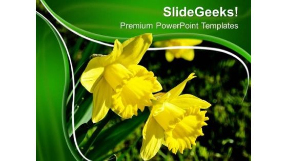 Yellow Flower Backgrund PowerPoint Templates Ppt Backgrounds For Slides 0713