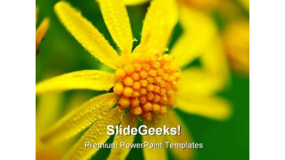 Yellow Flower Beauty PowerPoint Templates And PowerPoint Backgrounds 0211