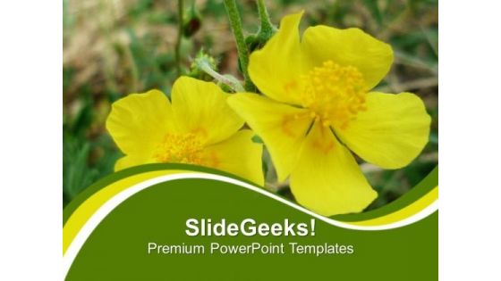 Yellow Flower For Happiness Theme PowerPoint Templates Ppt Backgrounds For Slides 0613