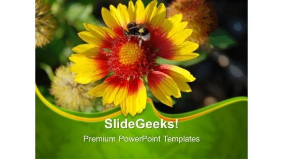 Yellow Flower Nature PowerPoint Templates And PowerPoint Themes 0512