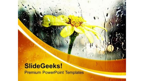 Yellow Flower With Rain Theme PowerPoint Templates Ppt Backgrounds For Slides 0613