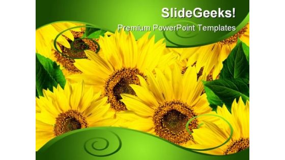 Yellow Flowers Beauty PowerPoint Background And Template 1210