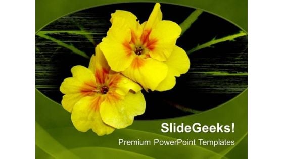 Yellow Flowers On Green Background PowerPoint Templates Ppt Backgrounds For Slides 0713