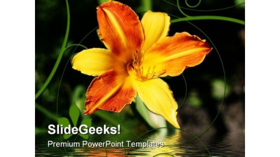 Yellow Orange Lily Nature PowerPoint Templates And PowerPoint Backgrounds 0311