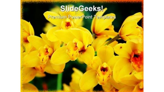 Yellow Orchids Nature PowerPoint Template 0810