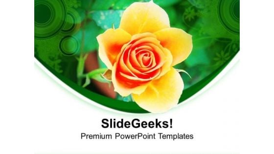 Yellow Rose Is Symbol Of Friendship PowerPoint Templates Ppt Backgrounds For Slides 0613