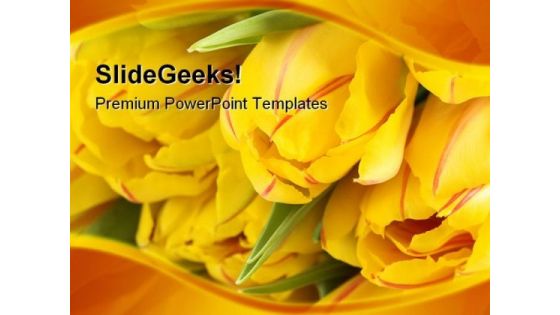 Yellow Tulips Beauty PowerPoint Templates And PowerPoint Backgrounds 0211