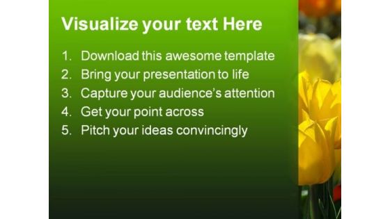 Yellow Tulips Beauty PowerPoint Templates And PowerPoint Backgrounds 0311