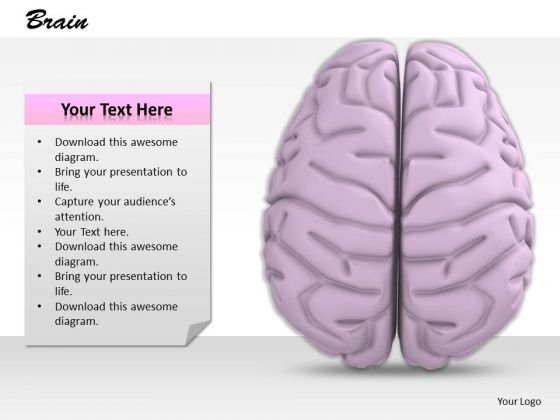 0814 Stock Photo 3d Image Of Human Brain PowerPoint Slide 0814 Stock Photo 3d Image Of Human Brain PowerPoint Slide