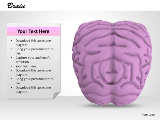 0814 Stock Photo 3d Model Of Human Brain PowerPoint Slide 0814 Stock Photo 3d Model Of Human Brain PowerPoint Slide