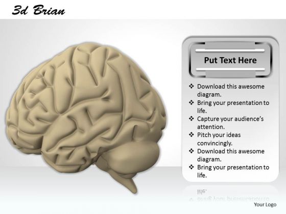 0814 Stock Photo 3d Render Of Human Brain PowerPoint Slide 0814 Stock Photo 3d Render Of Human Brain PowerPoint Slide